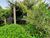 Terreno, 5334 m² - Foto 1