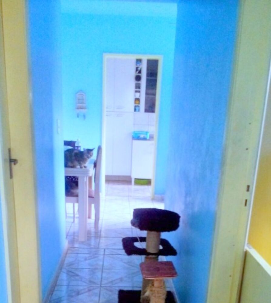 Apartamento à venda com 2 quartos, 49m² - Foto 3