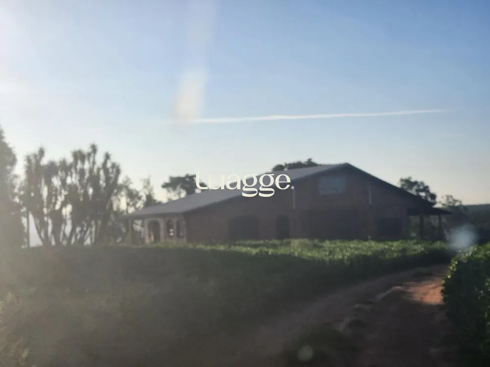 Fazenda, 240 hectares - Foto 4