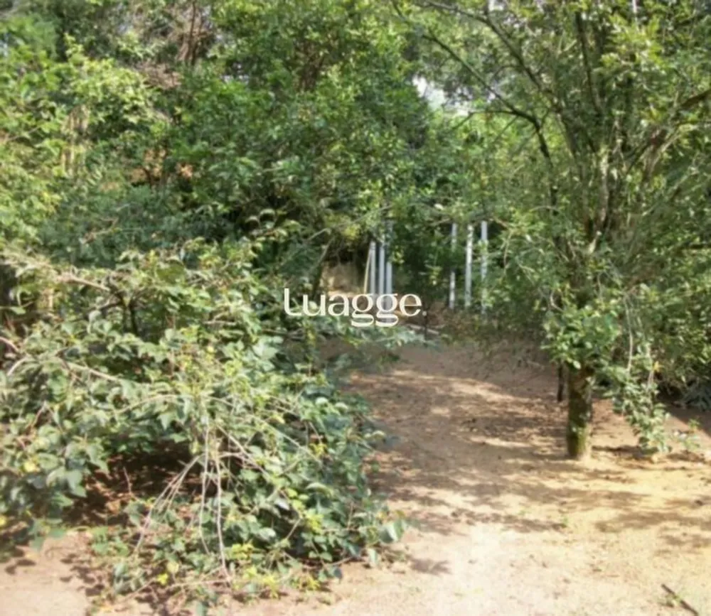 Sobrado, 3 quartos, 801 m² - Foto 2