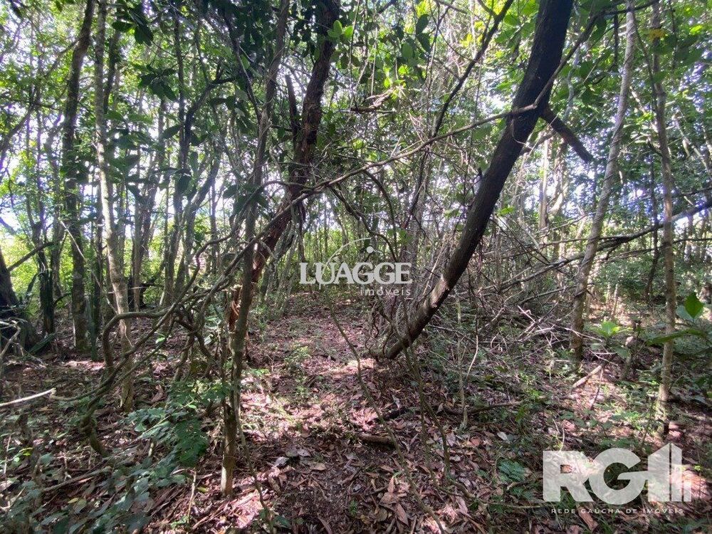 Sítio à venda, 6500m² - Foto 11