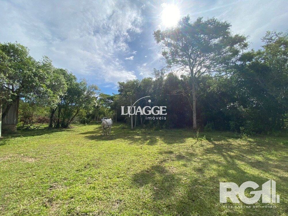 Sítio à venda, 6500m² - Foto 5