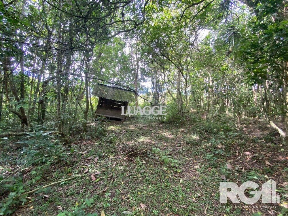Sítio à venda, 6500m² - Foto 12