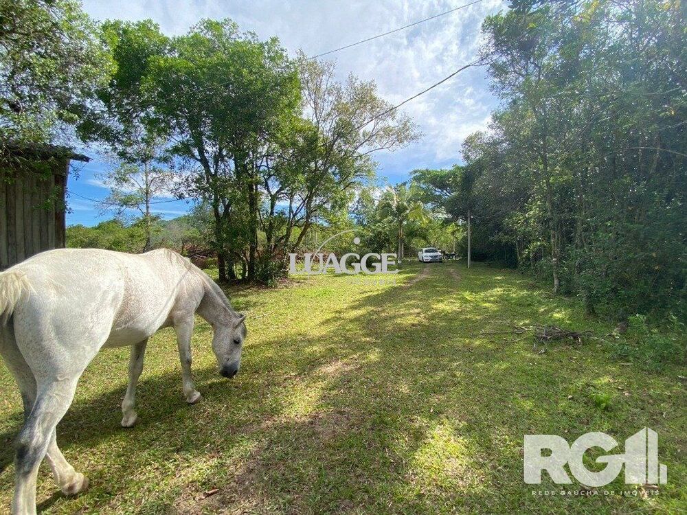 Sítio à venda, 6500m² - Foto 1