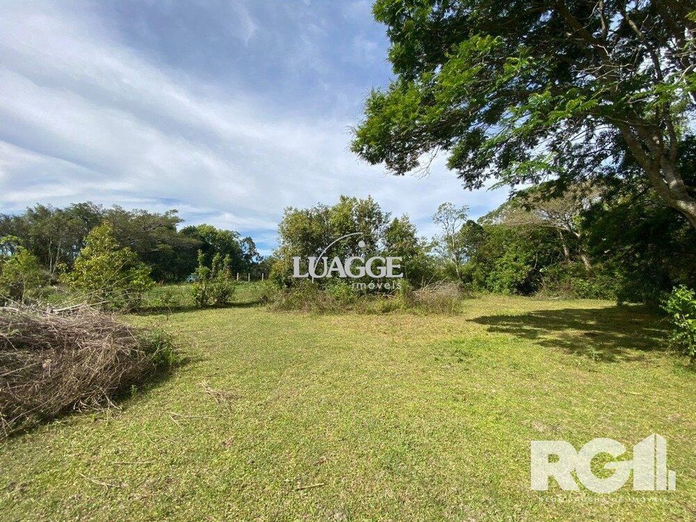 Sítio à venda, 6500m² - Foto 4