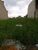 Terreno, 484 m² - Foto 2