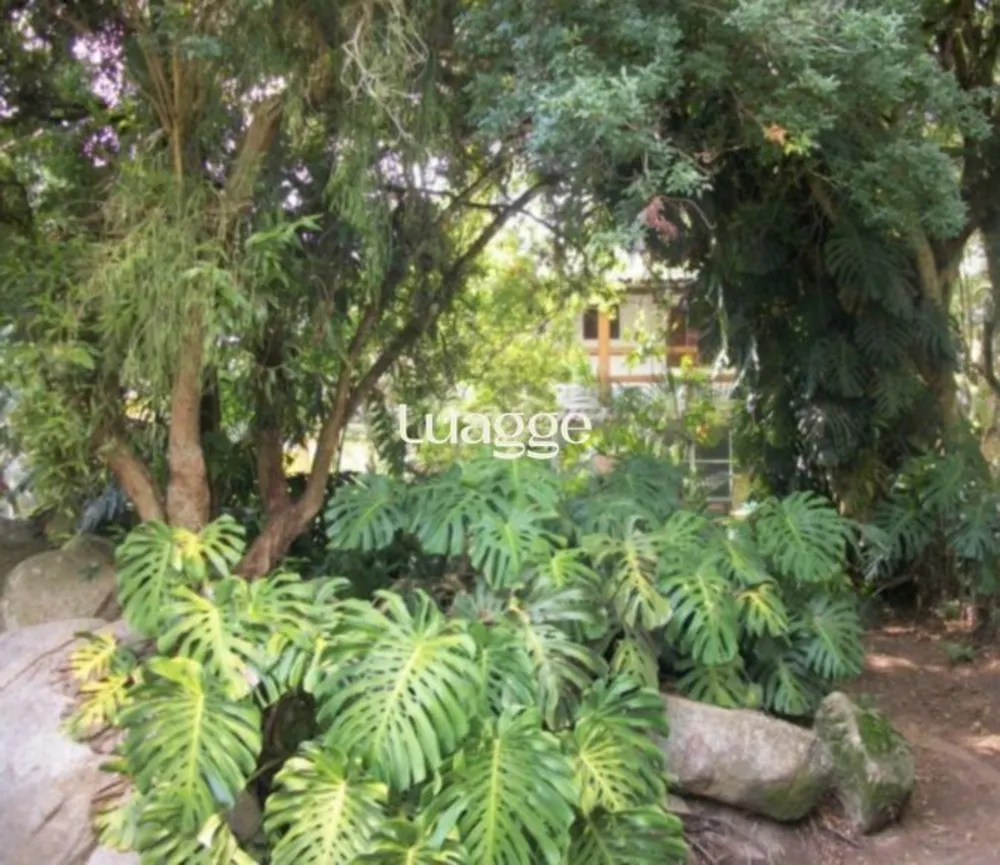 Sala-Conjunto, 37 m² - Foto 2