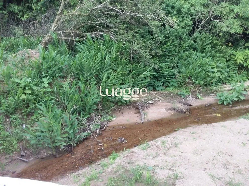 Terreno, 4 hectares - Foto 1