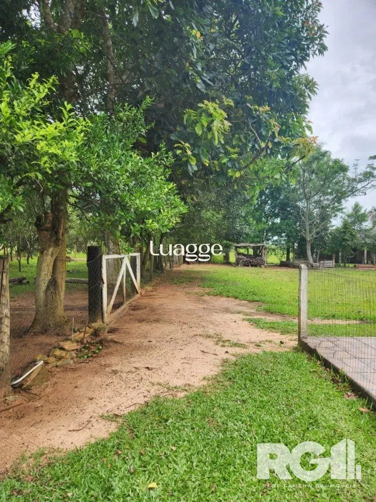 Sítio, 3 quartos, 71 m² - Foto 1