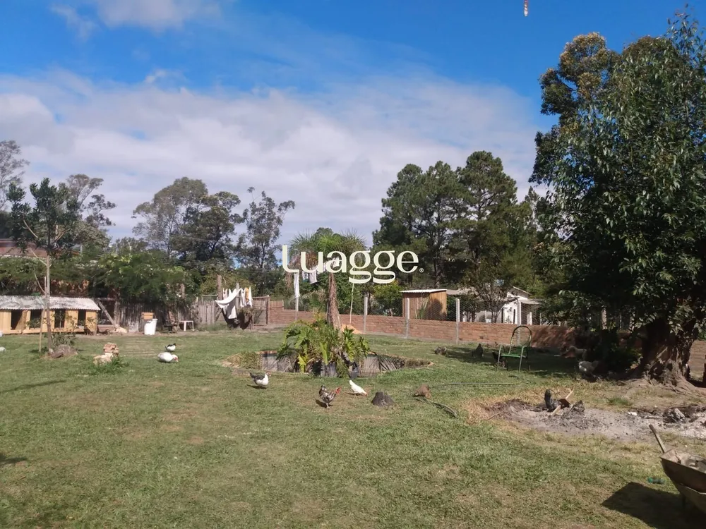 Sítio, 3 quartos, 40686 m² - Foto 4
