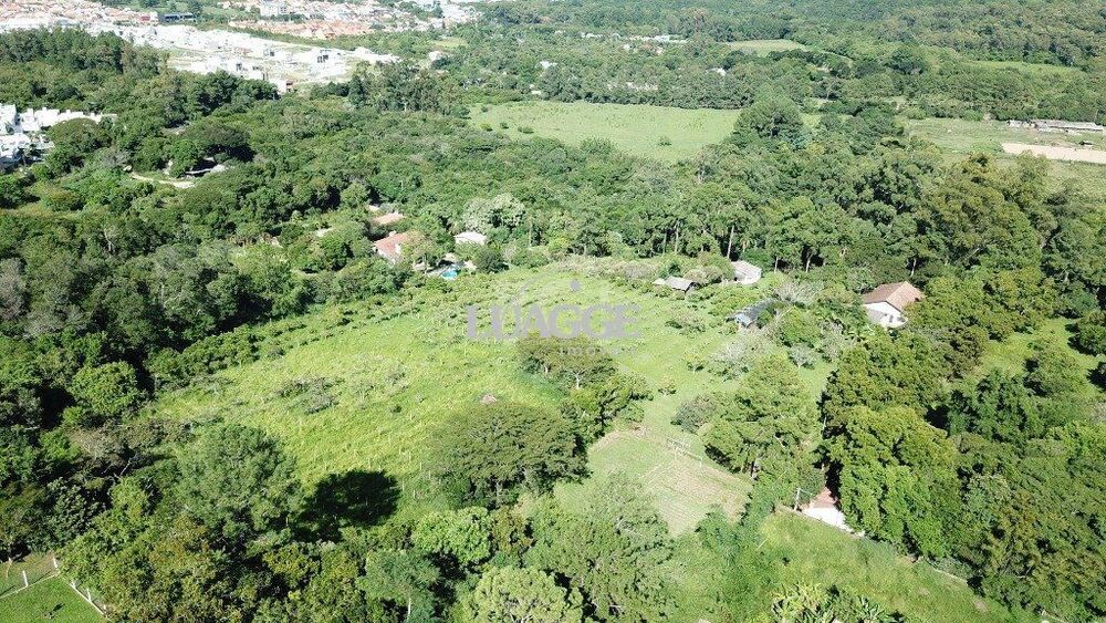 Sítio à venda com 2 quartos, 12115m² - Foto 12
