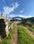 Terreno, 2616 m² - Foto 3