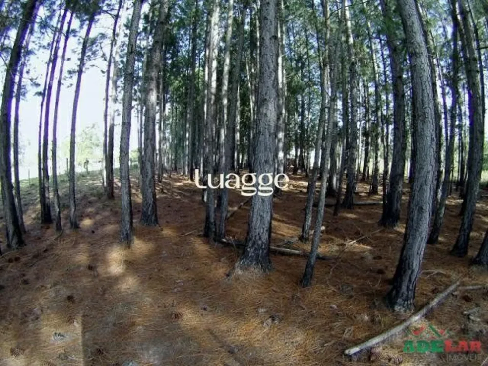 Terreno, 3061 m² - Foto 3