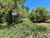 Terreno, 3002 m² - Foto 2