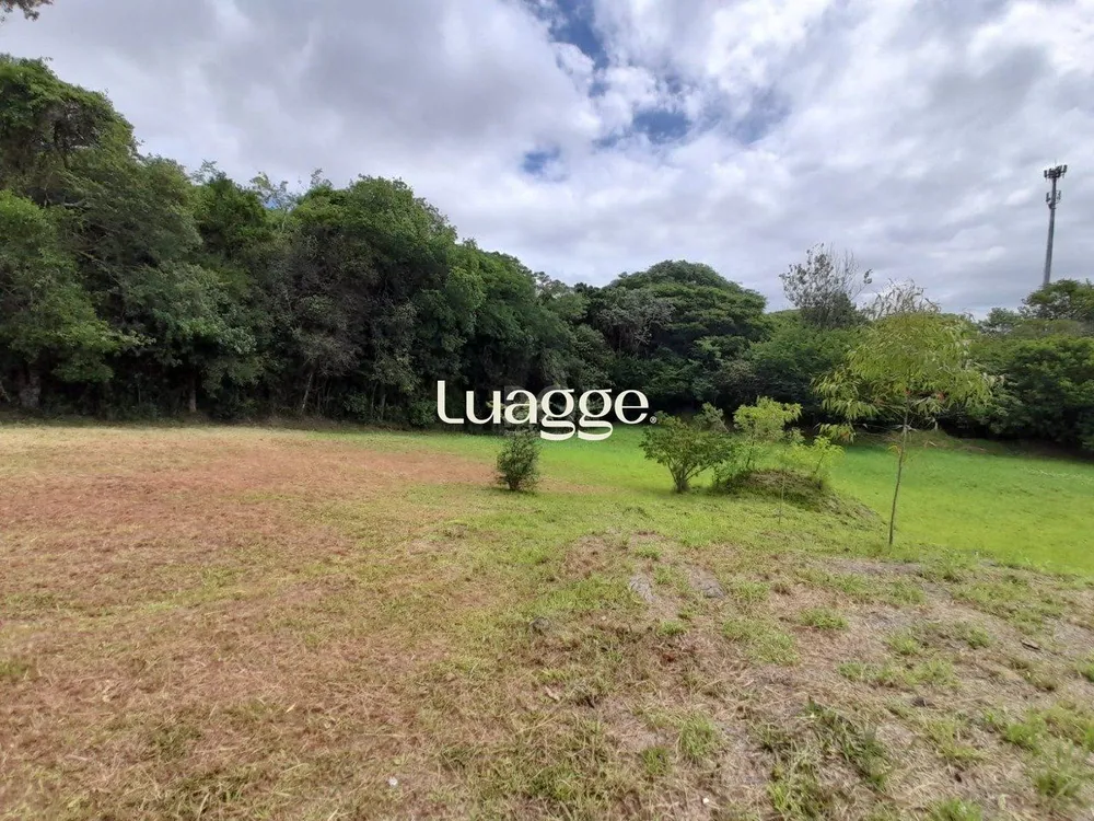 Terreno, 291 m² - Foto 4