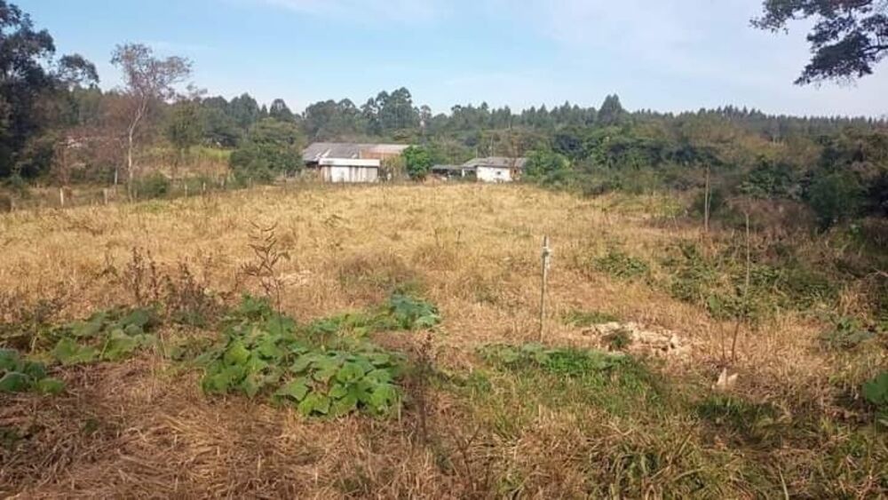 Sítio à venda com 4 quartos, 120m² - Foto 2