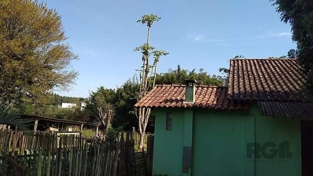 Sítio à venda com 4 quartos, 120m² - Foto 12