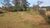 Sítio, 4 quartos, 3 hectares - Foto 4