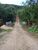 Terreno, 4 hectares - Foto 4