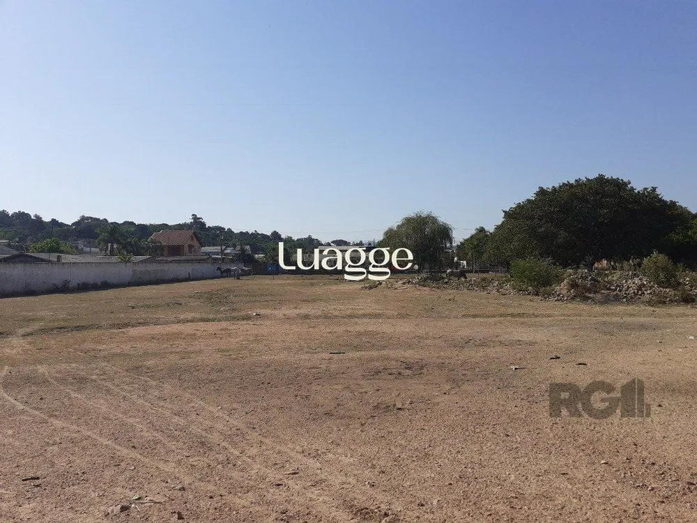 Sítio, 2 quartos, 10001 m² - Foto 5