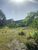 Terreno, 1 hectares - Foto 1