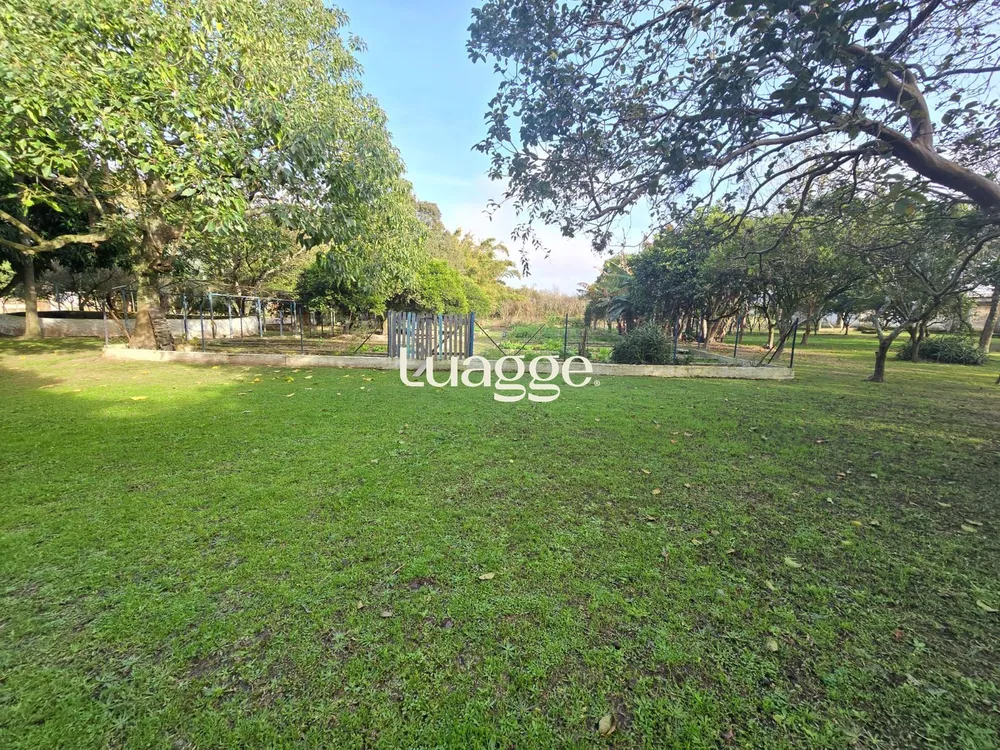 Sítio, 3 quartos, 151 m² - Foto 4