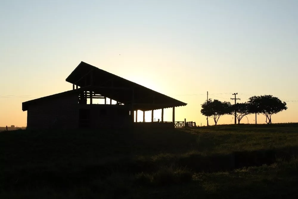 Depósito-Galpão-Armazém à venda, 201018m² - Foto 4