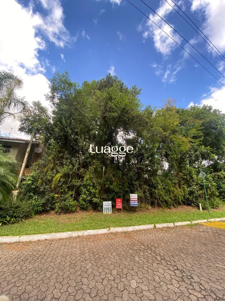 Terreno, 333 m² - Foto 1