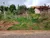 Terreno, 350 m² - Foto 1