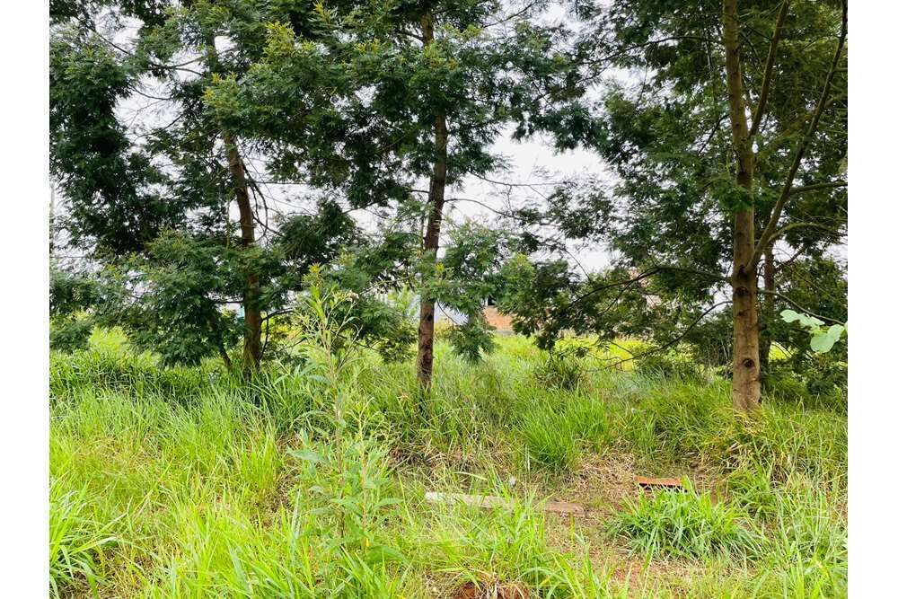 Terreno à venda, 249m² - Foto 3