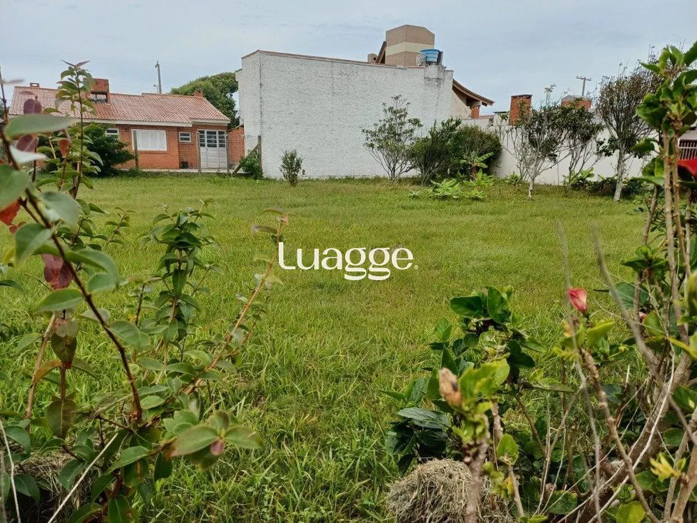 Terreno, 325 m² - Foto 2