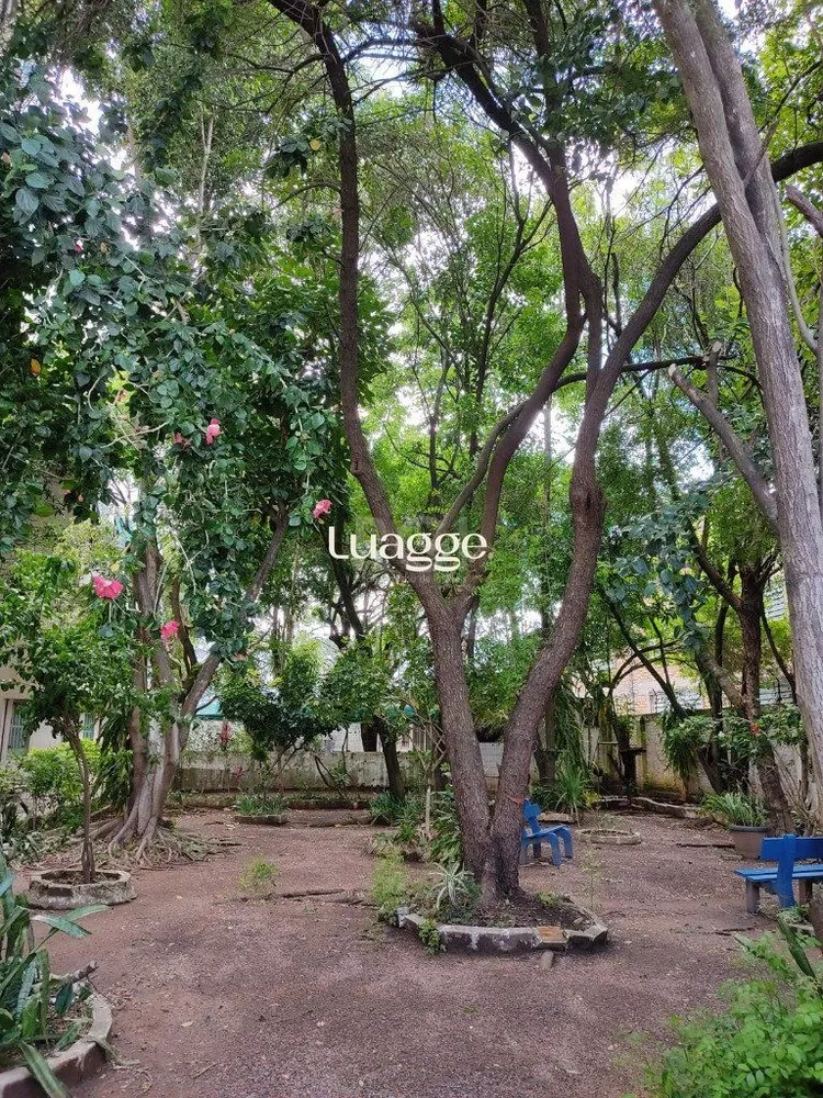 Apartamento, 3 quartos, 80 m² - Foto 3