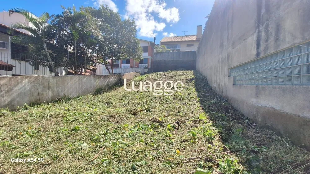 Casa, 4 quartos, 363 m² - Foto 3