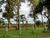 Terreno, 313 m² - Foto 3