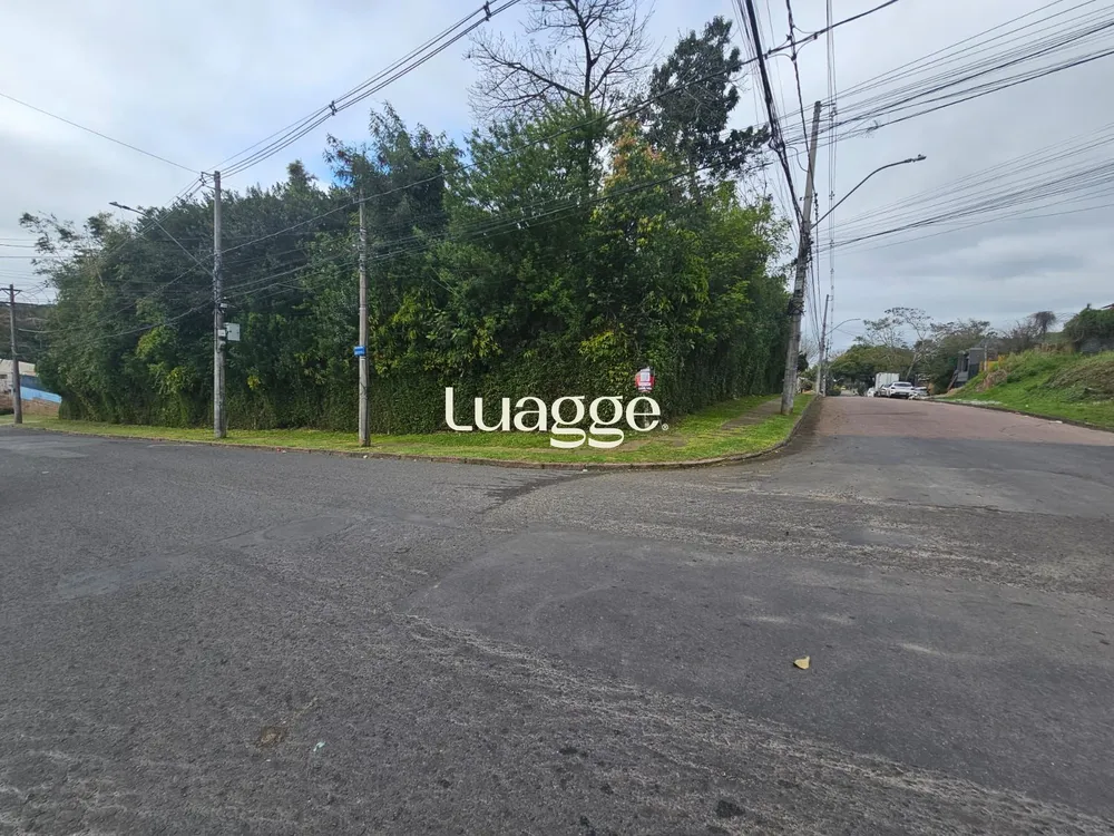 Apartamento, 1 quarto, 31 m² - Foto 3