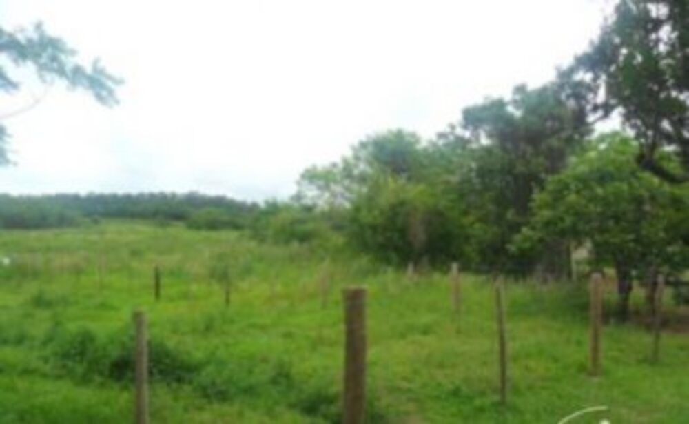 Terreno à venda, 48963m² - Foto 7