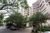 Apartamento, 1 quarto, 76 m² - Foto 1