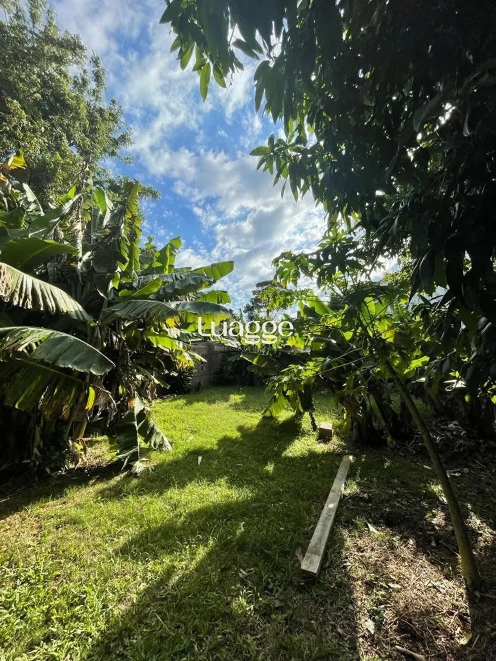 Apartamento, 2 quartos, 66 m² - Foto 3