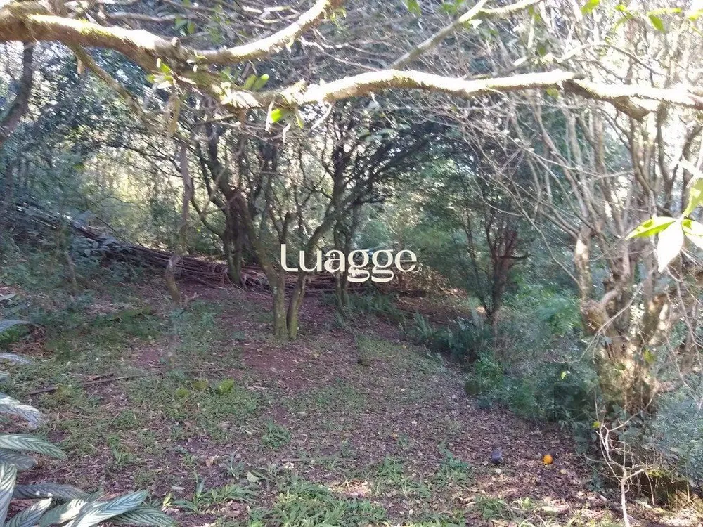 Apartamento, 33 m² - Foto 1