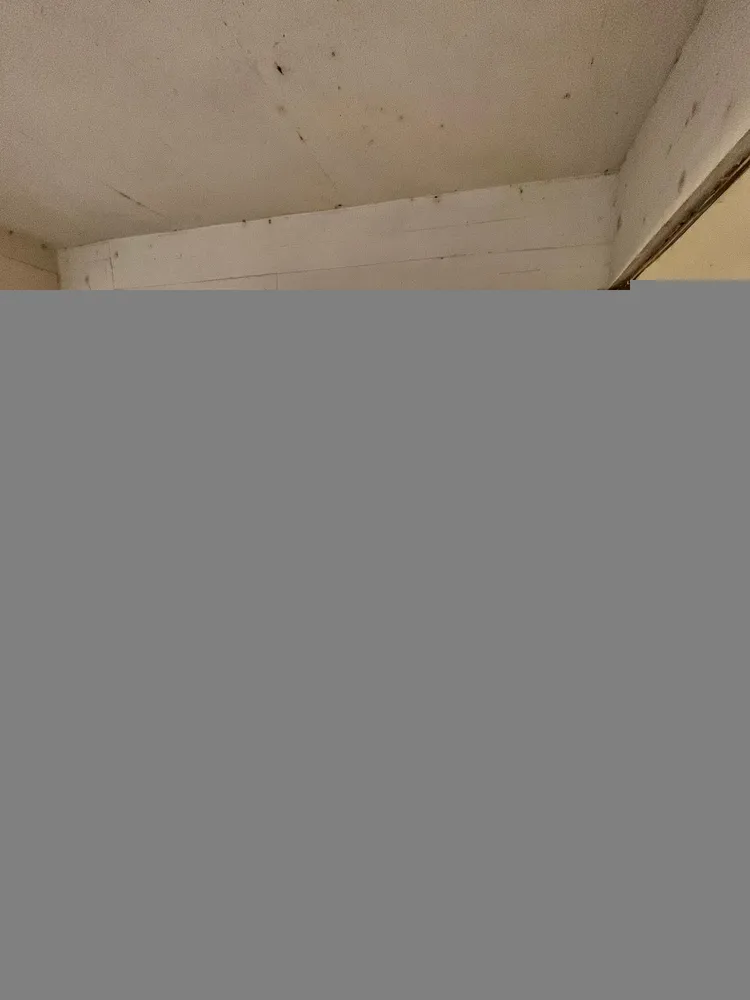 Terreno, 815 m² - Foto 2