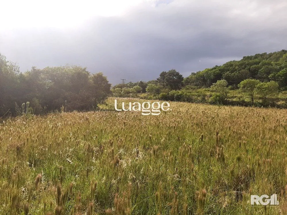 Terreno, 12 hectares - Foto 1