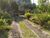 Sítio, 1 quarto, 1 hectares - Foto 1