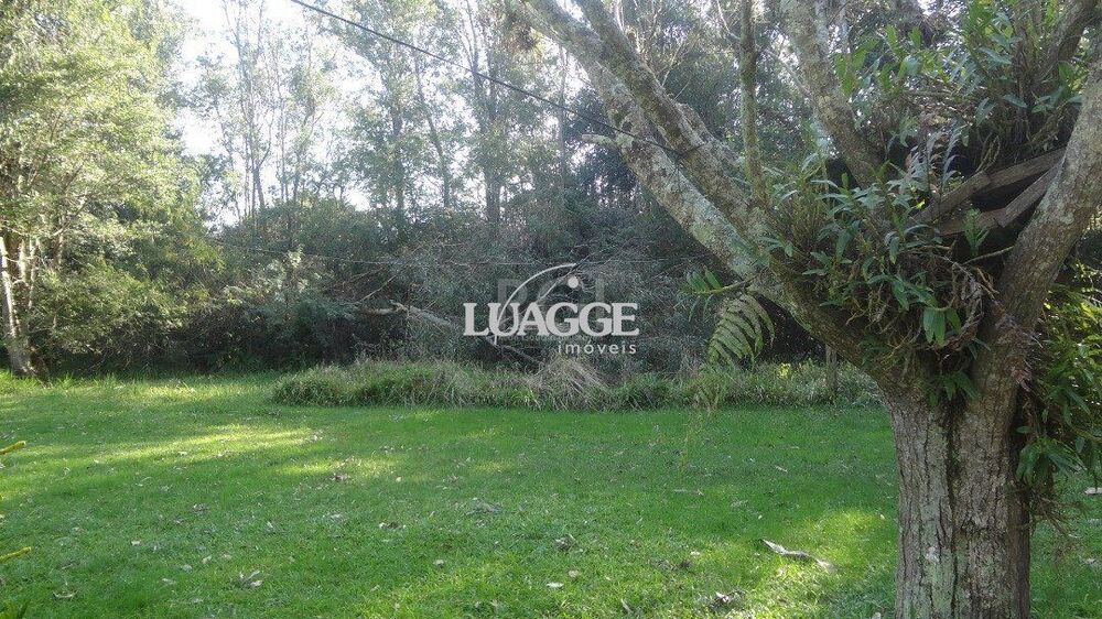 Terreno à venda, 5602m² - Foto 2