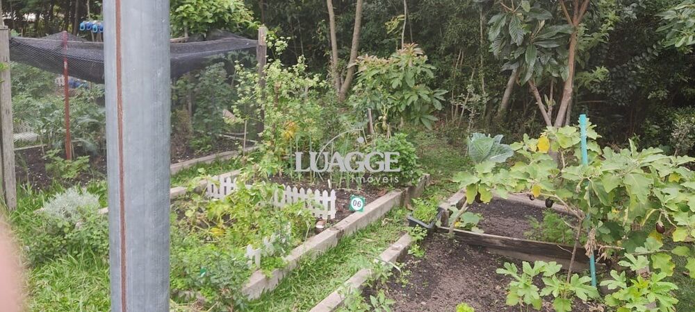 Apartamento à venda com 3 quartos, 62m² - Foto 19