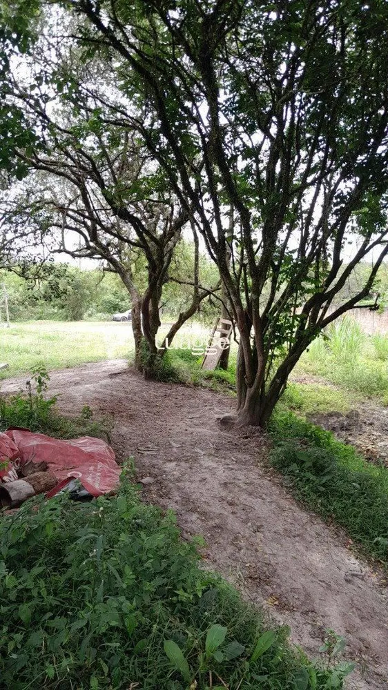 Terreno, 1001 m² - Foto 1
