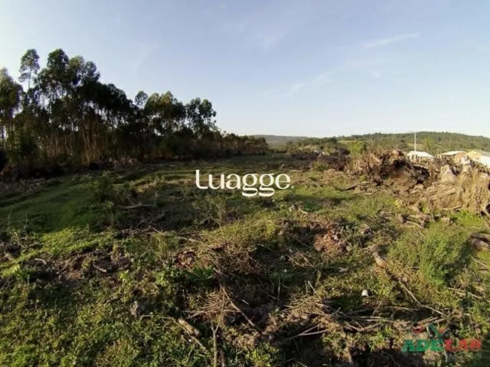 Terreno, 1001 m² - Foto 1
