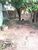 Casa, 3 quartos, 150 m² - Foto 4