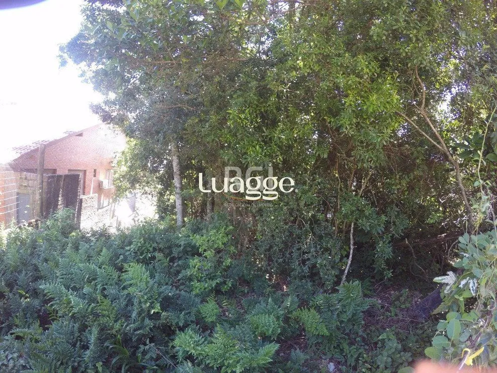 Casa, 4 quartos, 331 m² - Foto 1