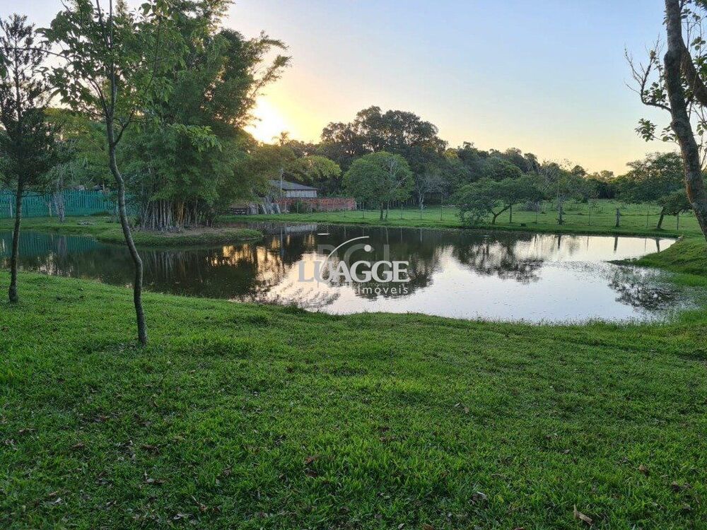 Chácara à venda com 3 quartos, 60002m² - Foto 12