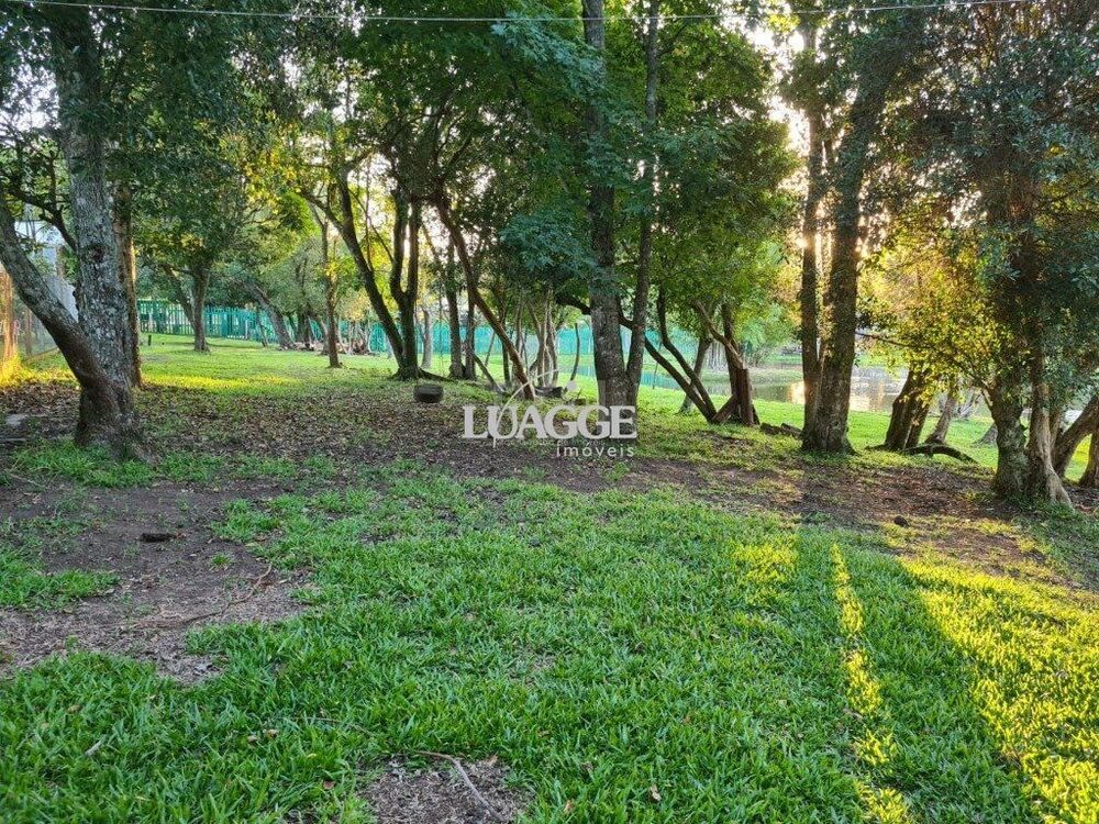 Chácara à venda com 3 quartos, 60002m² - Foto 9